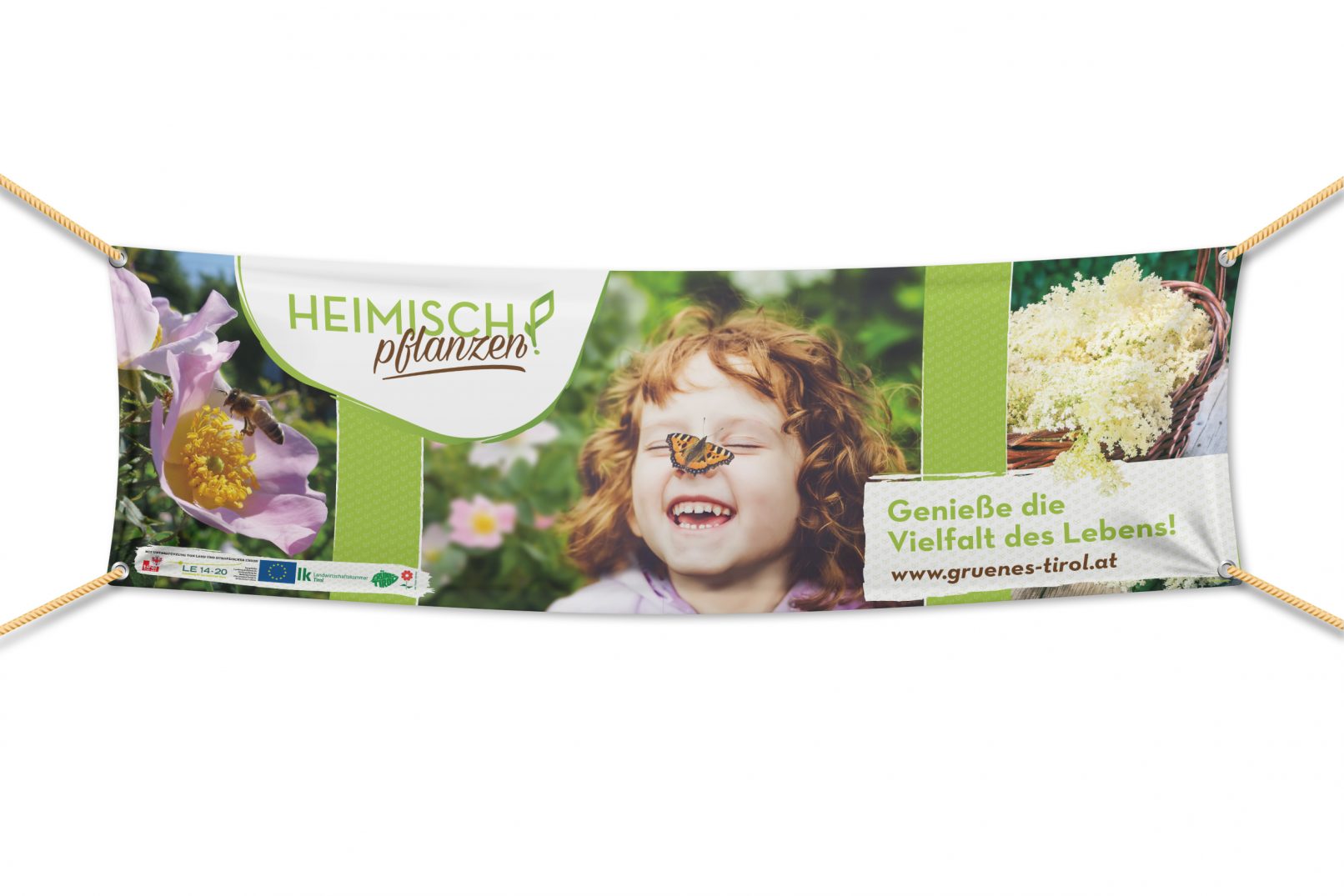 Banner Heimisch pflanzen