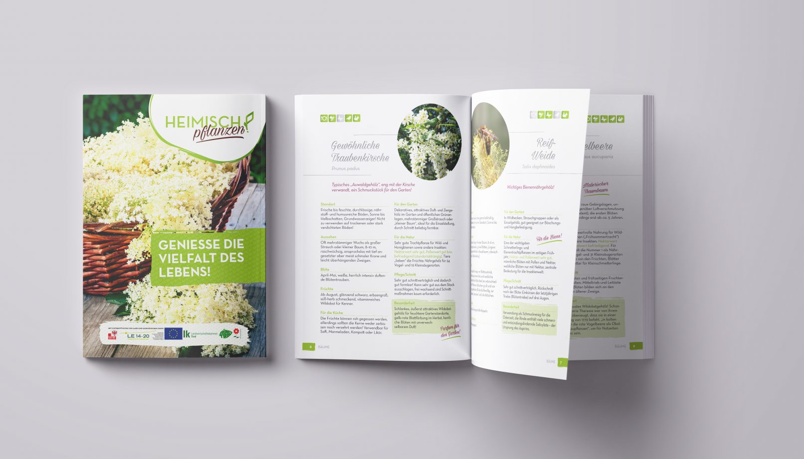 Magazin Heimisch pflanzen